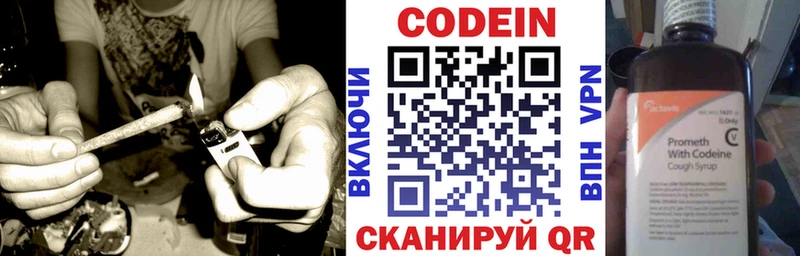 Купить закладки  Шлиссельбург  Кодеиновый сироп Lean Purple Drank 