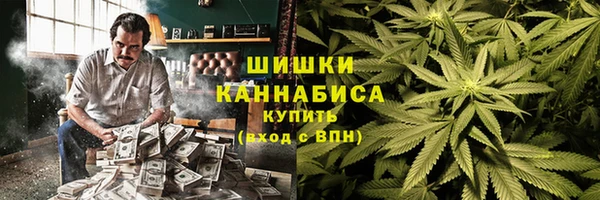 сатива Армянск