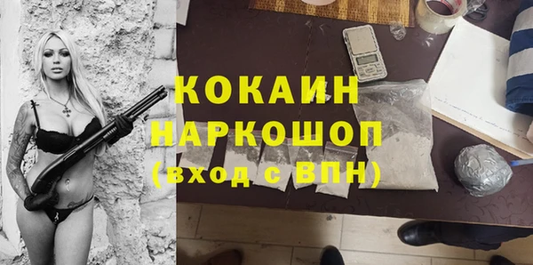 сатива Армянск