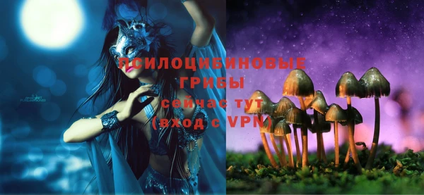 mdpv Арсеньев
