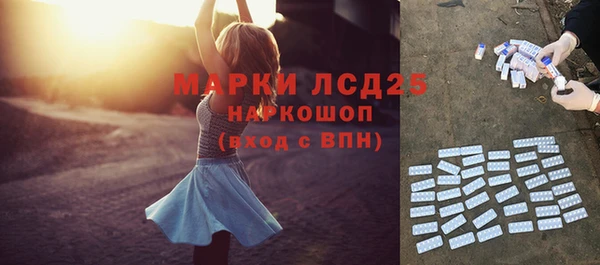 сатива Армянск